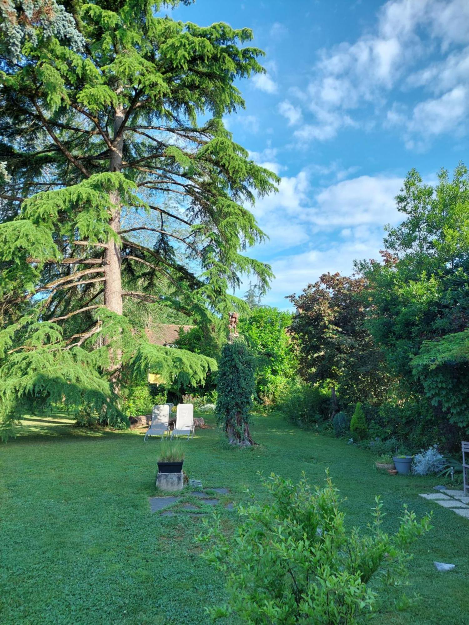 Rue Du Chateau Lalinde Bagian luar foto